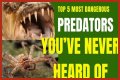 10 Terrifying And Deadly Predators You've Never Heard Of