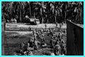 WWII's Most Daring Raids - Smithsonian Channel