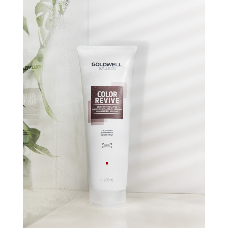 Goldwell Dualsenses Color Revive Color Giving Shampoo Cool Brown 250 Ml   Goldwell Goldwell Dualsenses Color Revive Color Giving Shampoo Cool Brown 250 Ml 20220620 141317 40719 Big 2x 