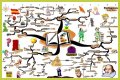 An Interpretation of Shakespeare's Comic Tools