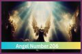 
ANGEL NUMBER 206
