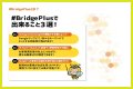 BridgePlus Manual