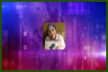 Fame | Etta May net worth and salary income estimation Jan, 2024