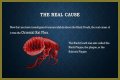 What Really Caused the Black Death: Anthrax or Celestial Bodies?