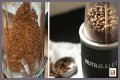 Where Can You Grind Coffee Beans?
