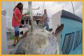 Who has the most expensive boat on Wicked Tuna?